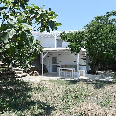 The Stone Villa Tínos Dış mekan fotoğraf
